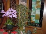 �Ӥ�03
